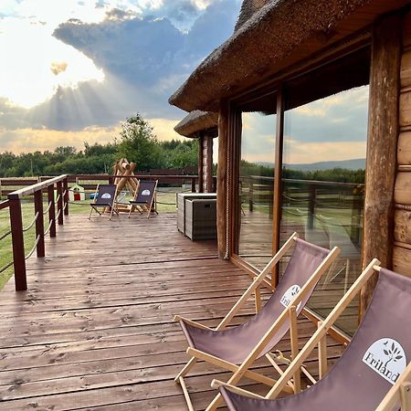 Вилла Dreamland Bodzentyn Экстерьер фото
